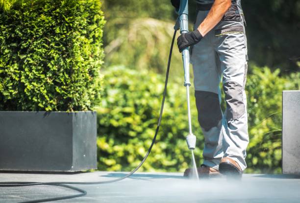 Trusted Riverdale Park, MD Pressure Washing Services Experts